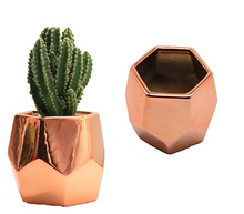 Load image into Gallery viewer, Ceramic Succulent Pot