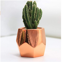 Load image into Gallery viewer, Ceramic Succulent Pot