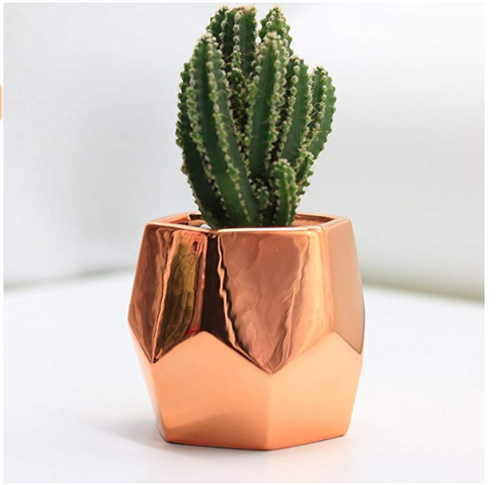 Ceramic Succulent Pot